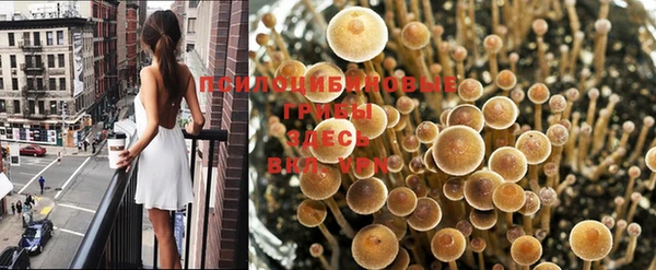 ECSTASY Володарск