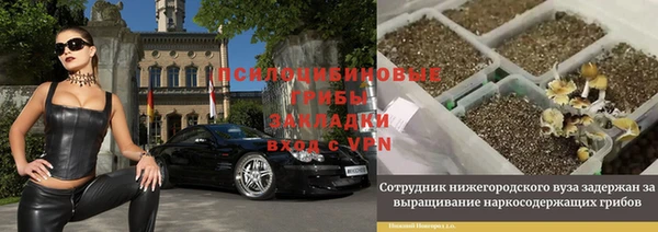 гидра Волосово
