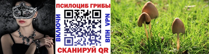 продажа наркотиков  Воркута  Галлюциногенные грибы Magic Shrooms 